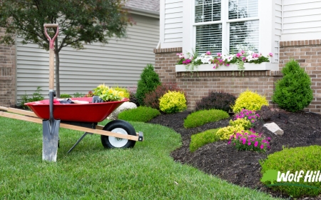 Creating a Lasting First Impression with Landscaping in Manassas, VA