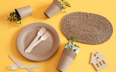 Machinery Requirements for Setting Up a Rice Husk Based Biodegradable Disposable Cups and Plates Manufacturing Plant