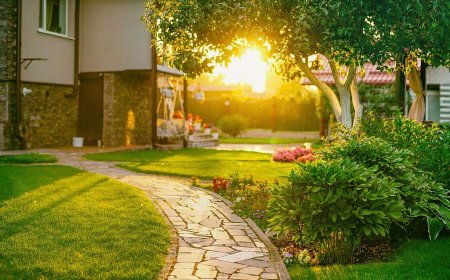 Can Soft Landscaping Improve Property Value in Bristol?