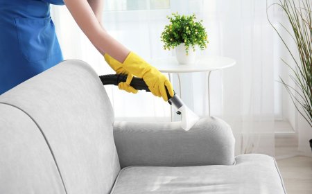 Upholstery Cleaning Services Asheville, NC