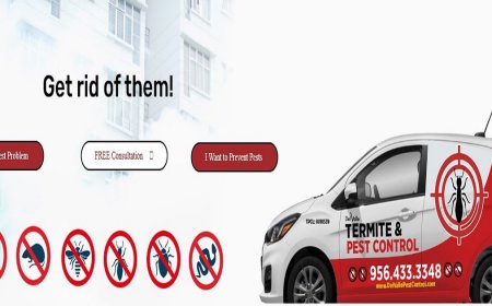 Residential Pest Control Services: Your Best Defense Against Unwanted Home Invaders