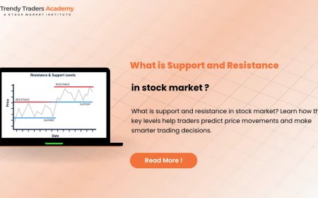 Support and Resistance Explained for Beginners