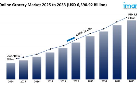 Online Grocery Industry 2025 | Share, Demand, and Forecast Till 2033