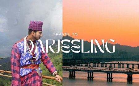 Darjeeling Tour Packages Under 10000: Unforgettable Trip