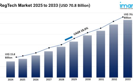 RegTech Market Size, Growth, and Trends Report 2025-2033