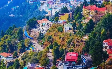 Family Getaway to Nainital, Ranikhet & Kausani: Best Places & Tips