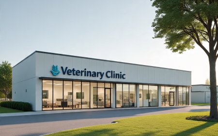 Pet Surgery Options at University Veterinary Clinics