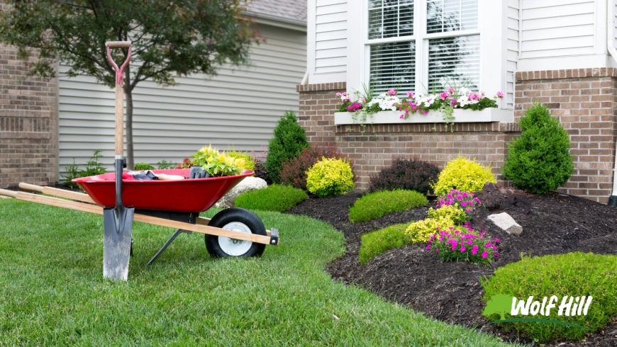 Creating a Lasting First Impression with Landscaping in Manassas, VA