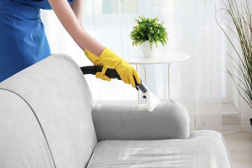 Upholstery Cleaning Services Asheville, NC