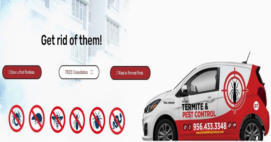 Residential Pest Control Services: Your Best Defense Against Unwanted Home Invaders