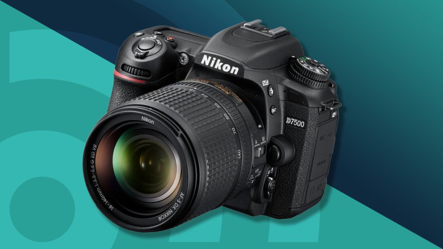 Top Cameras for Content Creation: What to Purchase for Great Still and Moving Images