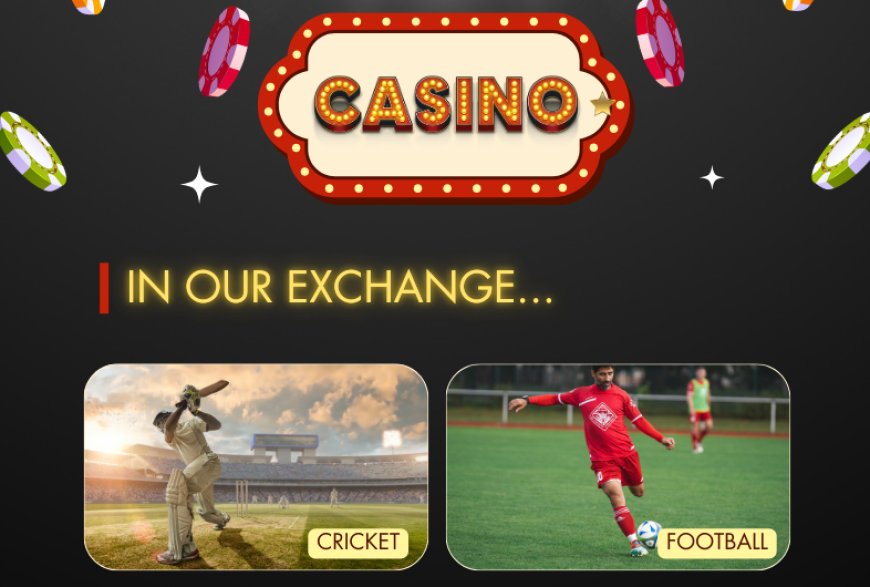 11xplay Sign Up Guide – How to Create Your Account & Start Playing