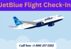 JetBlue Airways Check In – Fast, Easy, and Traveler-Friendly