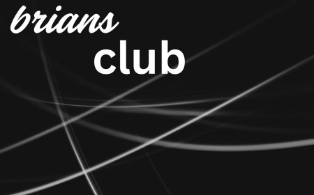 Briansclub: A Secure Gateway to Private Digital Markets