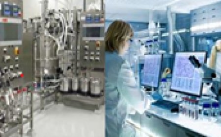 What to Expect from a Cloud-Based Kinaxis Implementation: A Step-by-Step Breakdown!