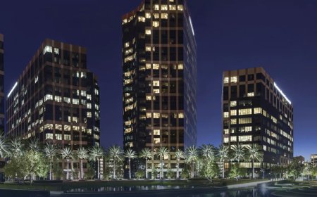 How Campus Management System Software and SEO Agency Brighton Collaboration Enhances University Success