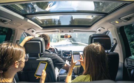 Finding Your Perfect Travel Partner in Wallan: Why Local Matters