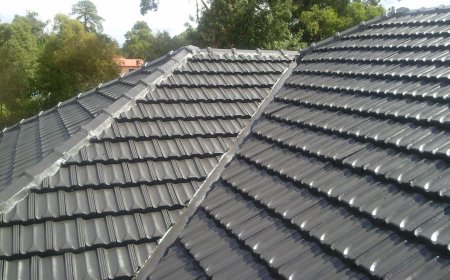 Trusted Roofers in Parma, Ohio: Your Local Experts for Quality Roofing Solutions