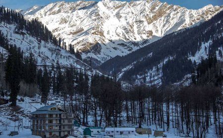 Trekking Trails & Scenic Tales: Manali for Nature Lovers