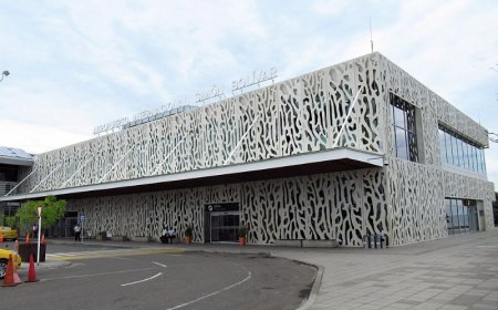 Navigating Your Journey: Spirit Airlines Las Vegas Terminal at Harry Reid International Airport