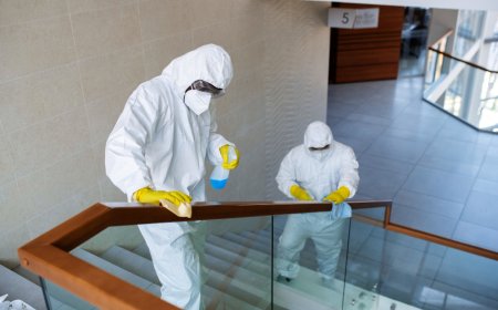 What to Do If You Discover Mold in Your Port St. Lucie Home: A Step-by-Step Guide