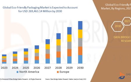 Eco-Friendly Packaging Market: Size, Share, and Future Growth