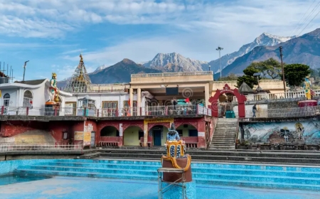 Explore Affordable and Best Himachal Pradesh Tour Packages Today
