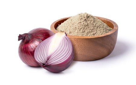 Setup a Onion Powder Manufacturing Plant- Detailed Project Report