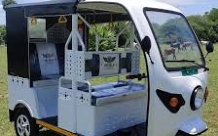Setting up a E-Rickshaw Manufacturing Plant Report 2025- Cost Analysis