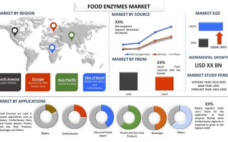 Food Enzymes Market Future Forecast and analysis (2021-2027) | UnivDatos
