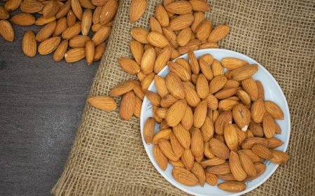 Almond Processing Plant Project Report: Raw Material Requirements and Business Plan
