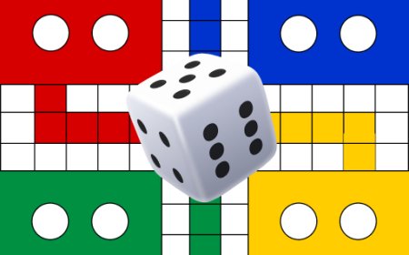What Are the Important Terms Used in Ludo Games?