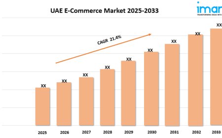 UAE E-commerce Market Size, Share, Growth, and Forecast 2025-2033