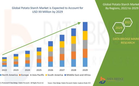 Potato Starch Market Booms with Rising Demand Across Food, Pharma, and Industrial Sectors