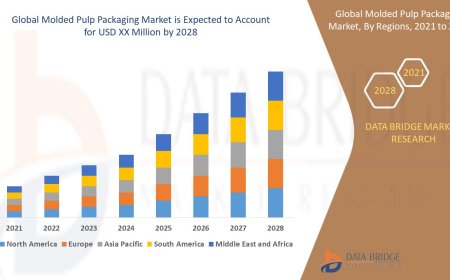 Molded Pulp Packaging Market Rises with Eco-Friendly Alternatives to Single-Use Plastics