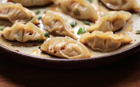 Detailed Report on Dumplings (Asian Style) Manufacturing Plant Setup