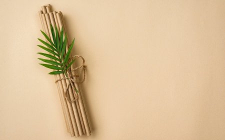 Machinery Requirements for Setting Up a Dry Coconut Leaves Based Biodegradable Straw Manufacturing Plant