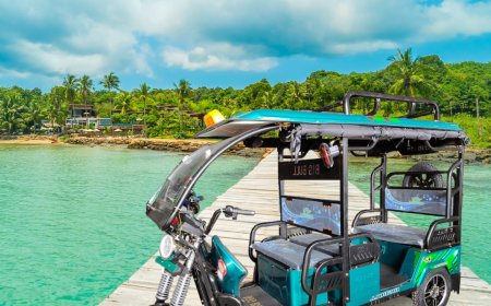 Setting up a E-Rickshaw Manufacturing Plant Project Report: Industry Trend and Business Plan