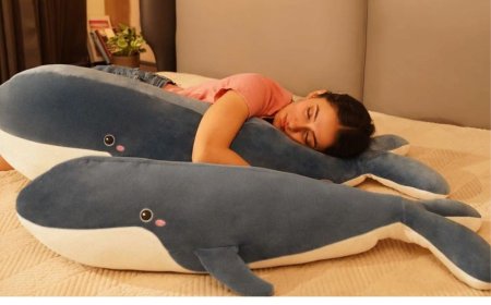 Eroloc - Cuddle Pillows & Comfy Cushies | Home Decor Cushions