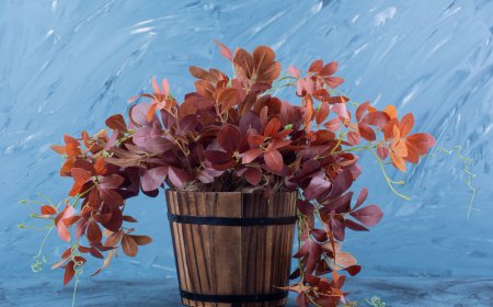 Minimalist Floral Vase Fillers for a Modern, Elegant Look