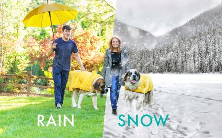 HugeHounds Rain Gear Keeps Your Big Dog Dry and Dashing