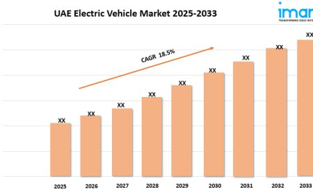 UAE Electric Vehicle Market Growth, Size, and Trends Forecast 2025-2033