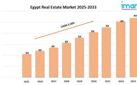 Egypt Real Estate Market Report 2025 | Growth, Trends, and Forecast by 2033