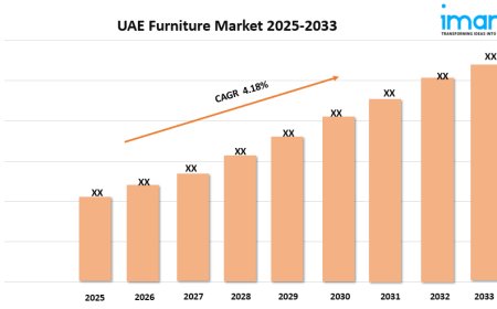UAE Furniture Market Size, Share, and Growth Forecast 2025-2033