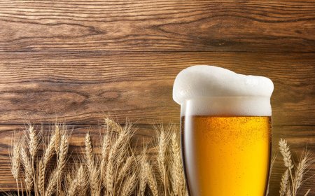 Wheat Beer Manufacturing Plant Setup 2025: Detailed Project Report, Requirements and Cost Analysis
