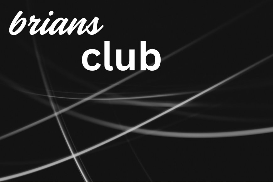 Briansclub: A Secure Gateway to Private Digital Markets