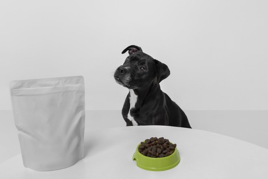 Why Cleaning Up After Your Dog Matters