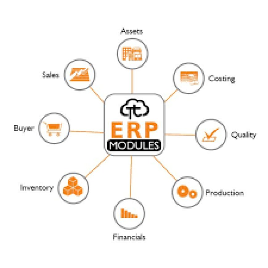 Navigating the Future: ERP Software, Dubai Solutions, and the Best ERP Software in the UAE Unveiled