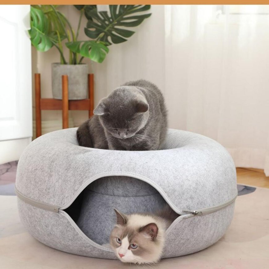 Why Every Cat Parent Is Obsessed With the Cat Tunnel Bed (Especially the Donut Tunnel Type!)