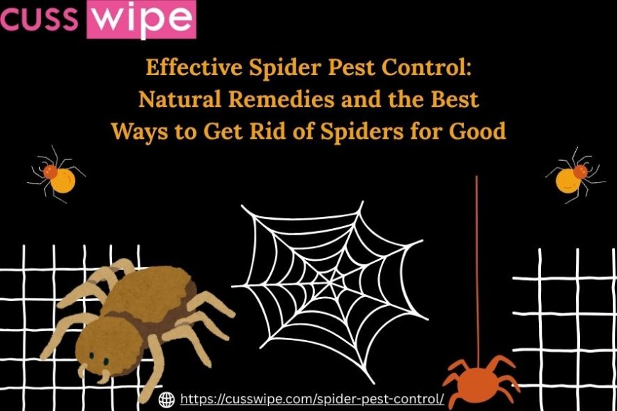 Effective Spider Pest Control: Natural Remedies and the Best Ways to Get Rid of Spiders for Good